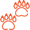 Wildlife removal tampa