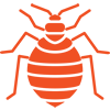 bed bug treatment tampa