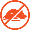 rodent removal tampa