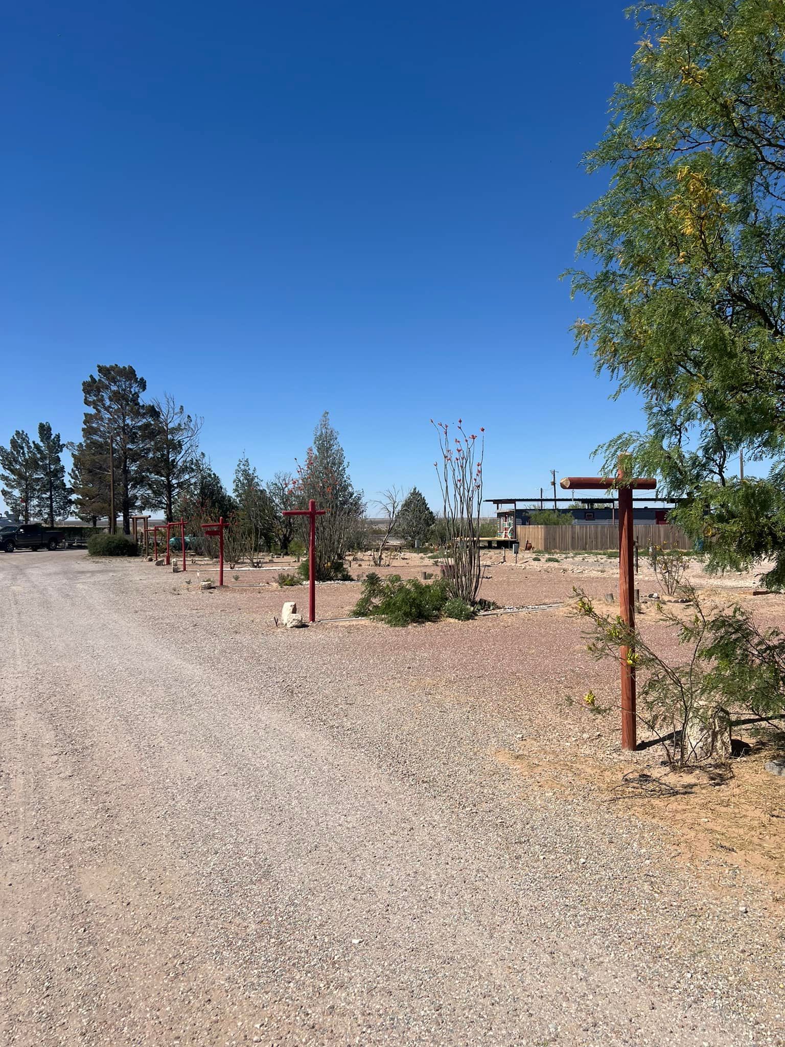Gravel path through a desert garden with young trees, red posts, and a building under a clear blue sky