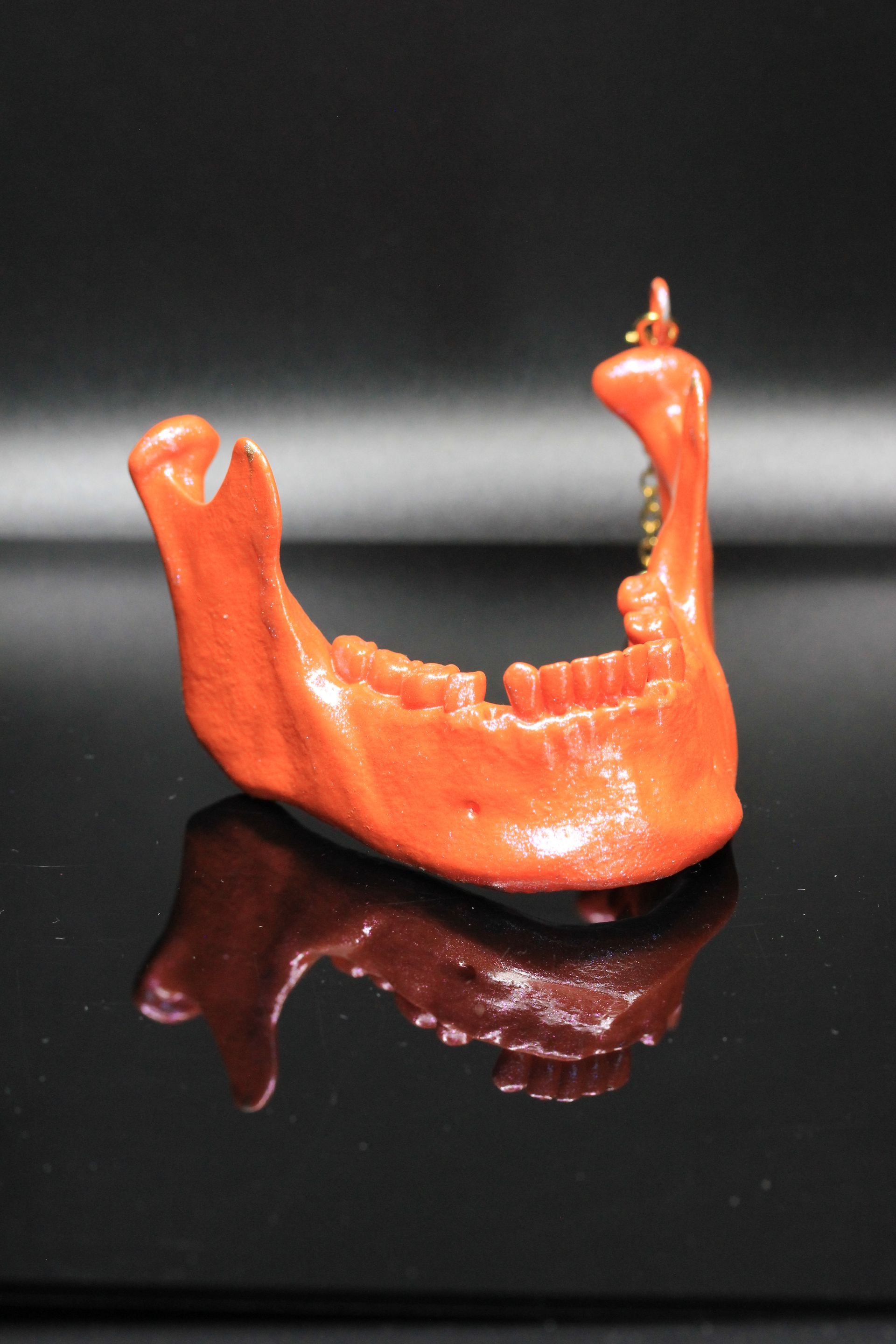 Child JawBone: Orange