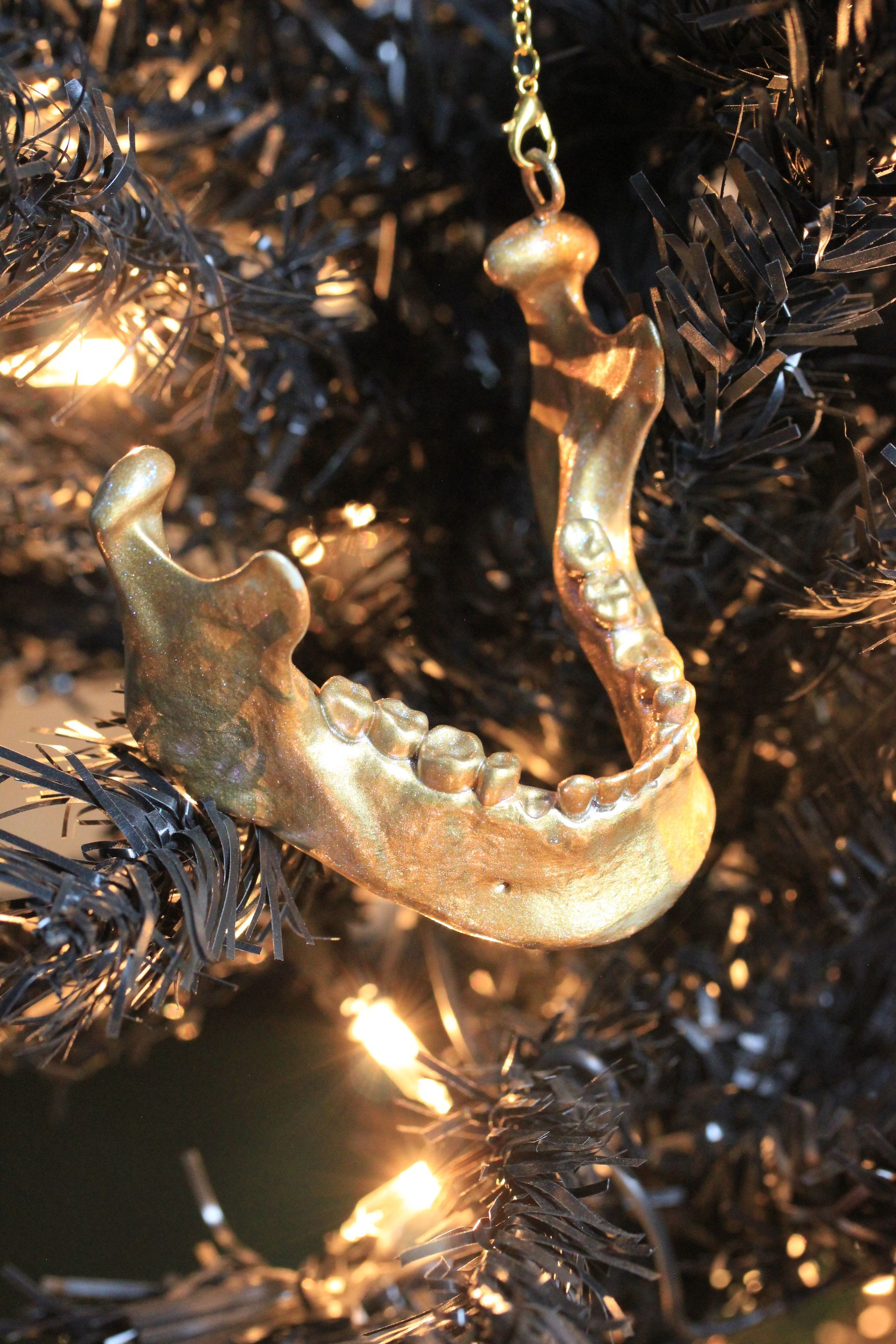 Child JawBone
