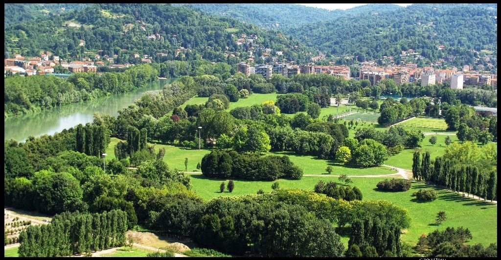 Veduta aerea di un parco verdeggiante in riva a un fiume e a una città, con alberi e dolci colline sullo sfondo.