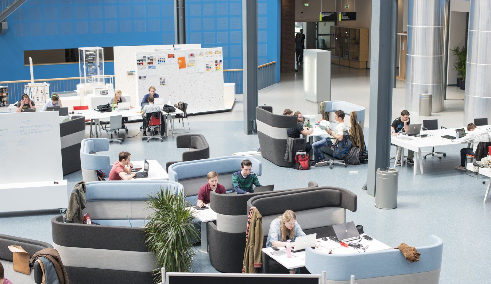 Studenti universitari