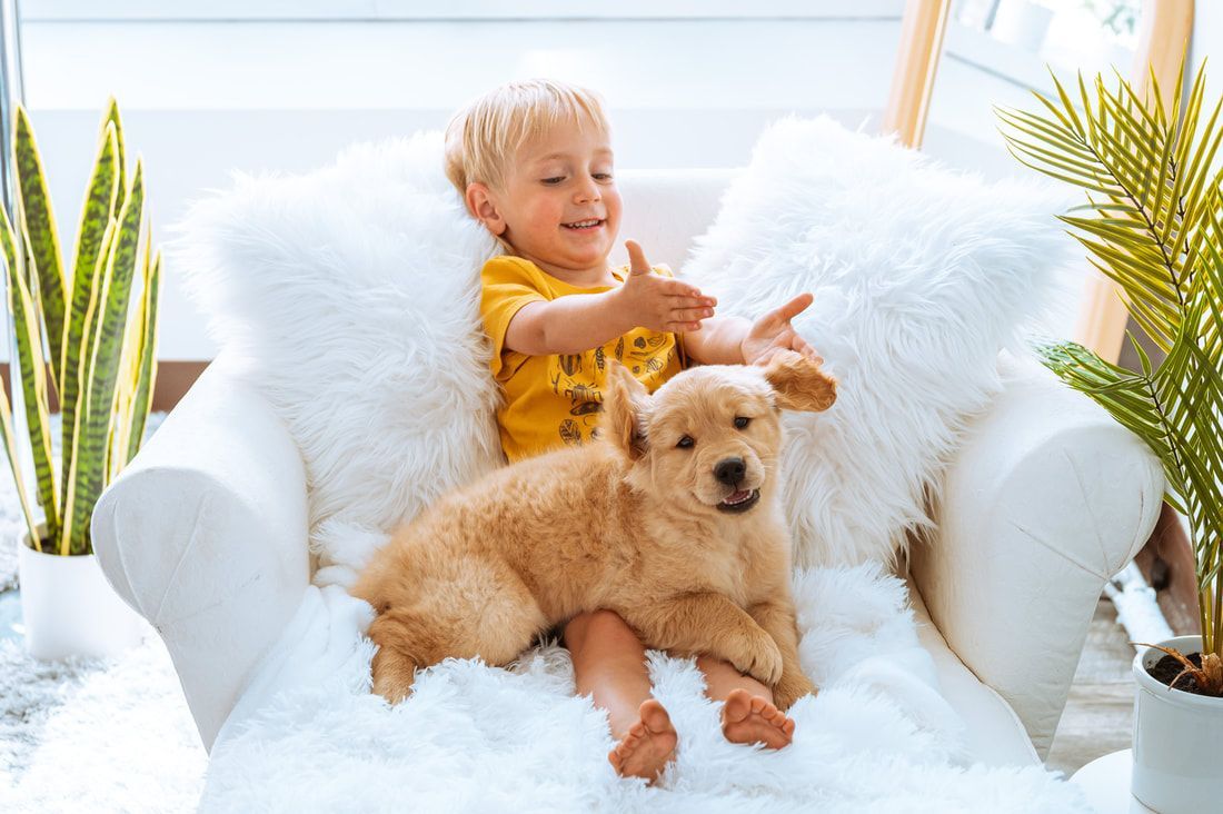 A little boy is sitting in a chair with a puppy.