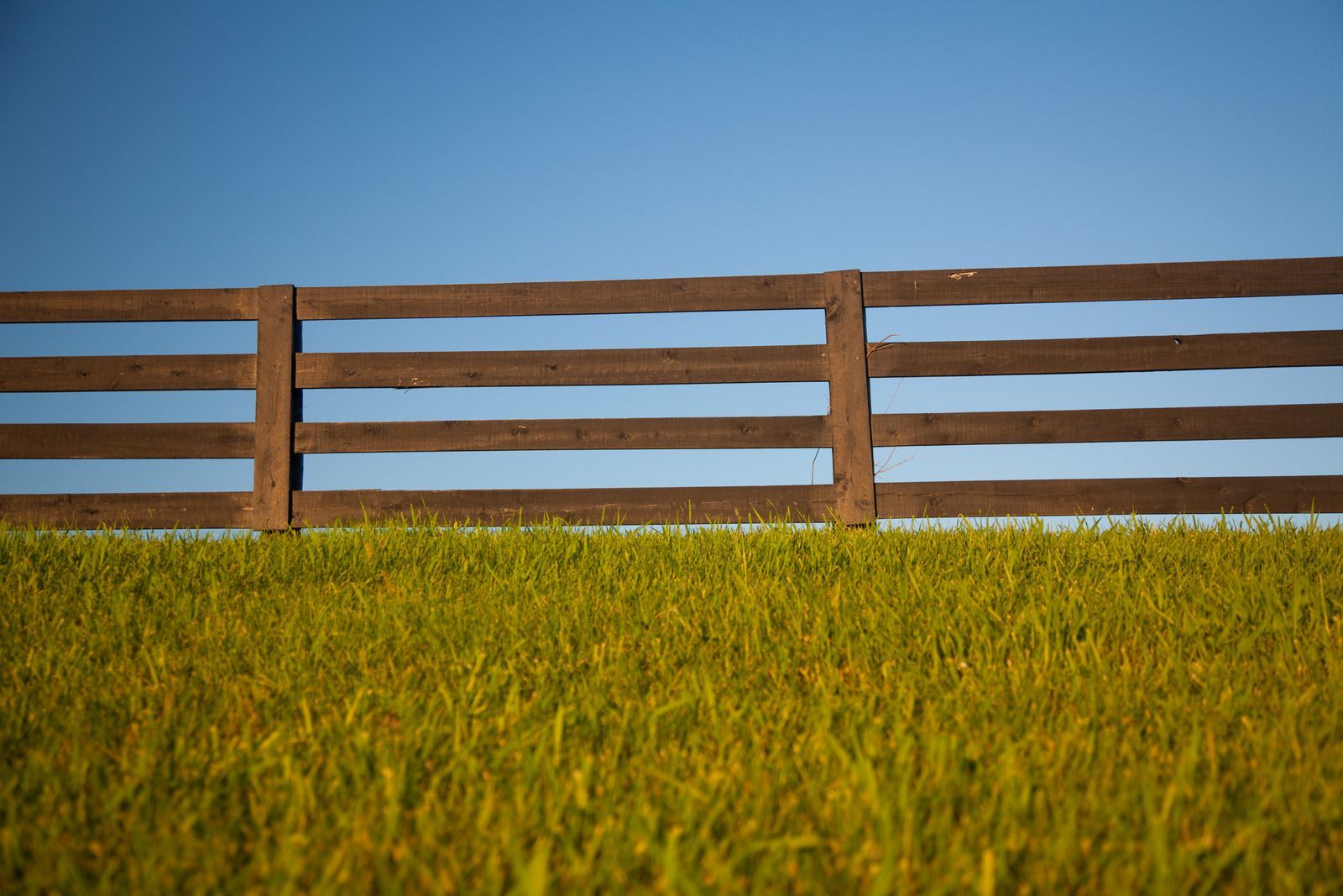 Wooden fence across a grassy field under a clear blue sky