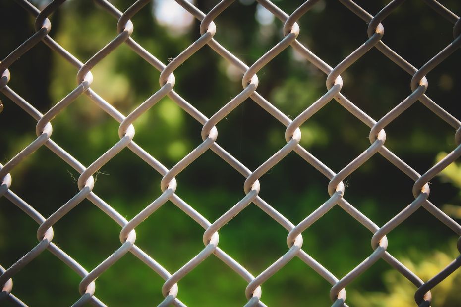 Chain-link fence with blurred greenery and sunlight in the background