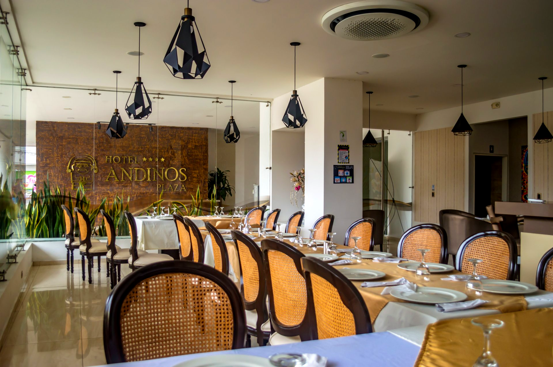 Restaurante Andinos Plaza