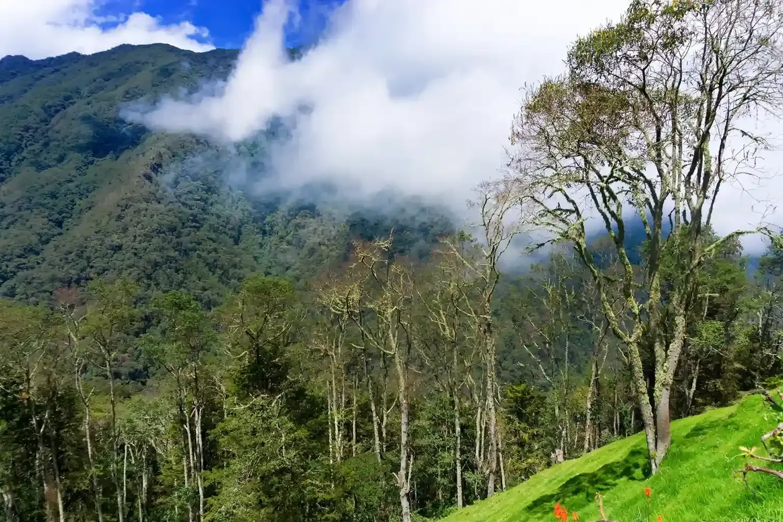 Barichara