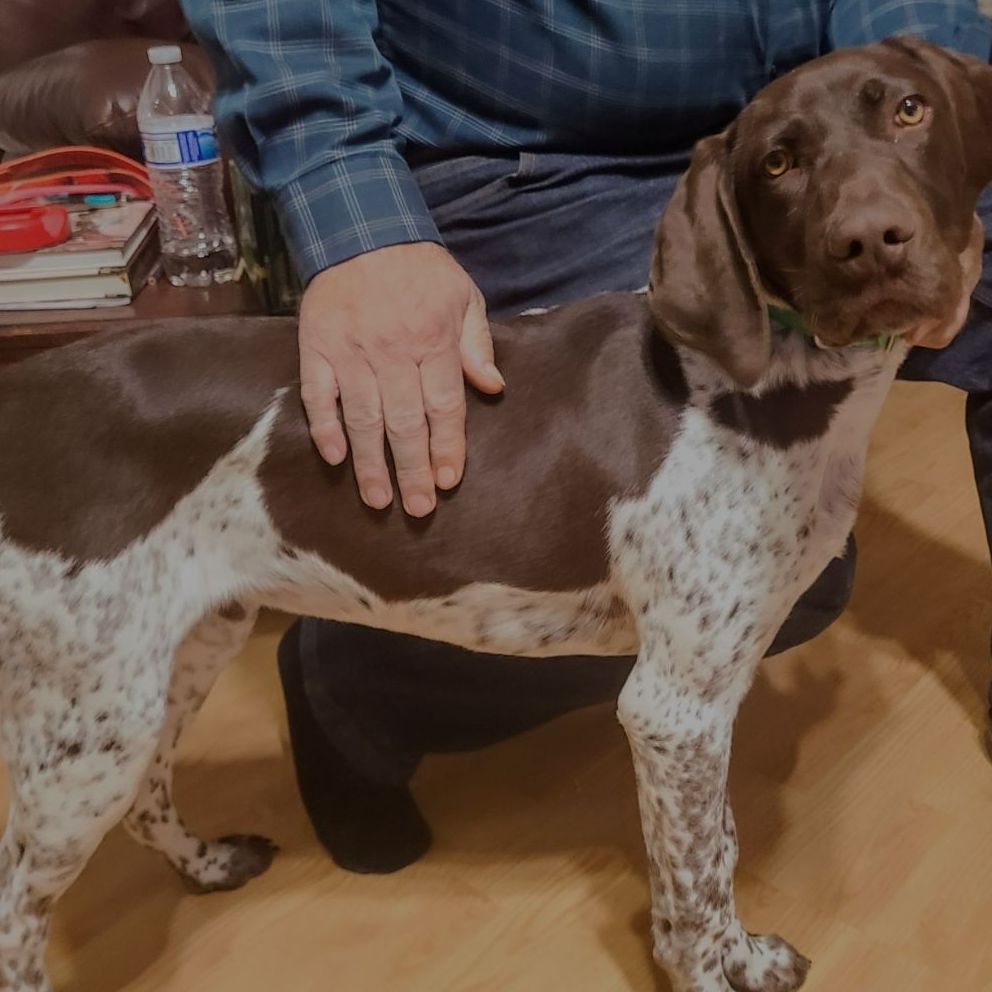 Home Rigby ID MOODY CREEK KENNEL