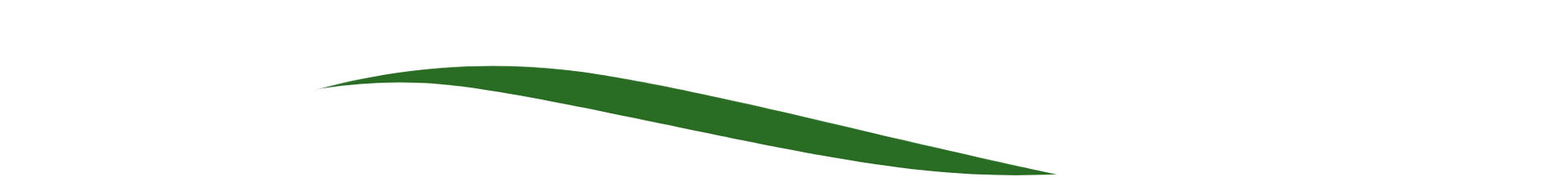 A green leaf is floating in the air on a white background.
