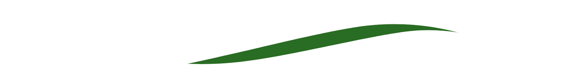A green bean is being drawn in a pixel art style on a white background.
