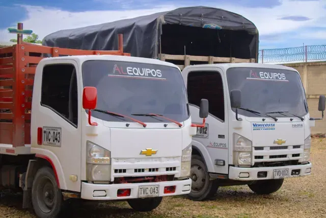 Dos camiones de carga blancos estacionados uno al lado del otro al aire libre, ambos con lonas negras y espejos laterales rojos.