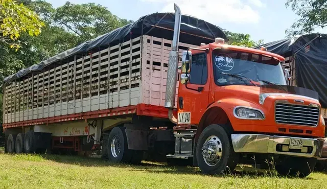 Camión de carga naranja con remolque cubierto estacionado sobre césped en una zona rural.