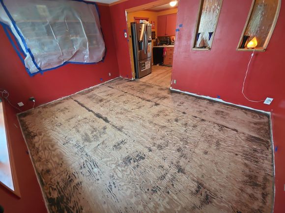 Empty purple room with hardwood floor and two windows letting in daylight