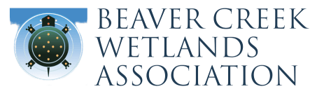 Beaver Creek Logo