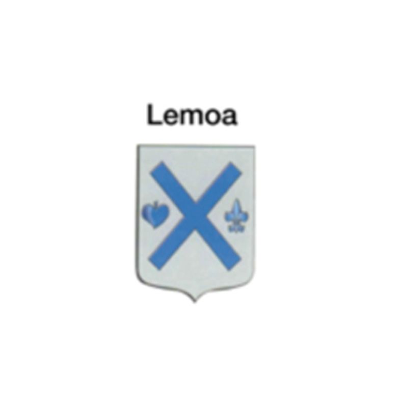 Escudo con