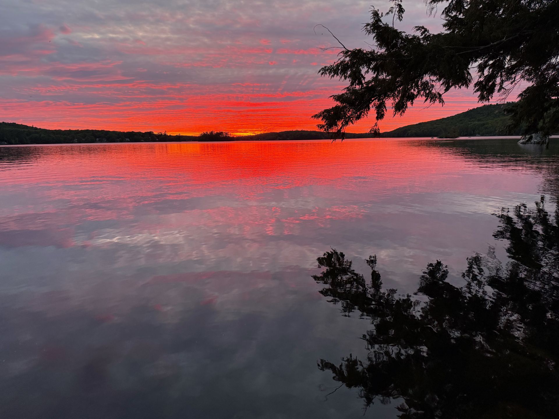 Pink sunset reflecting on a calm lake, with dark tree silhouettes framing the shore