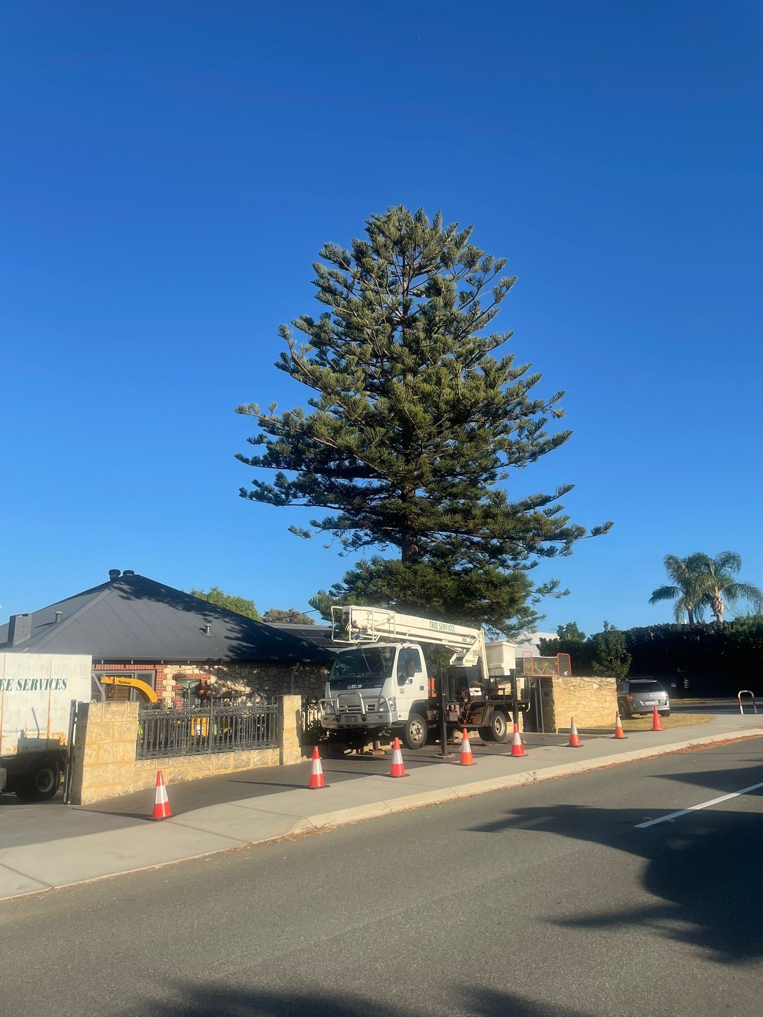 Fremantle Tree Loppers