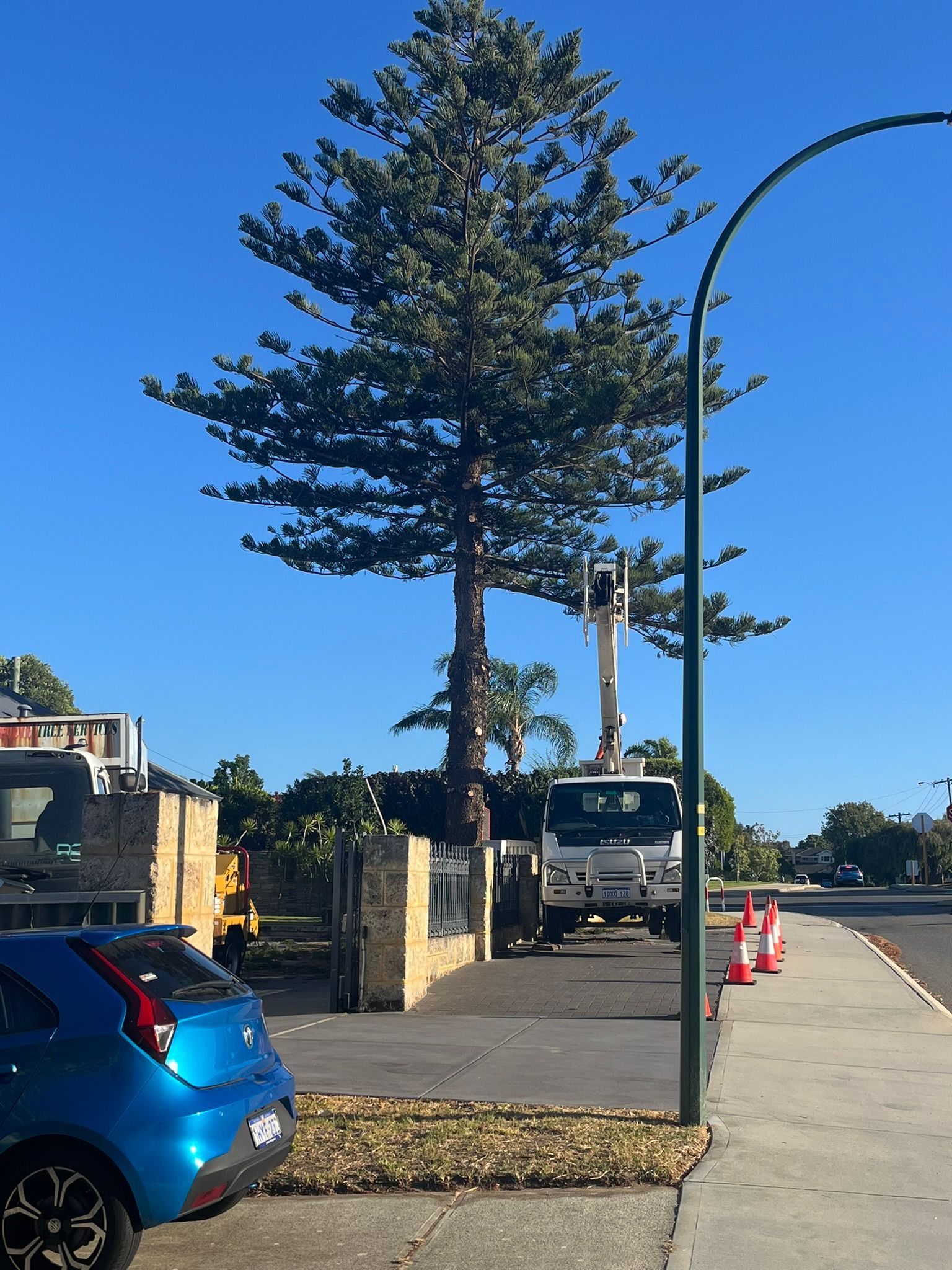 Fremantle Tree Loppers