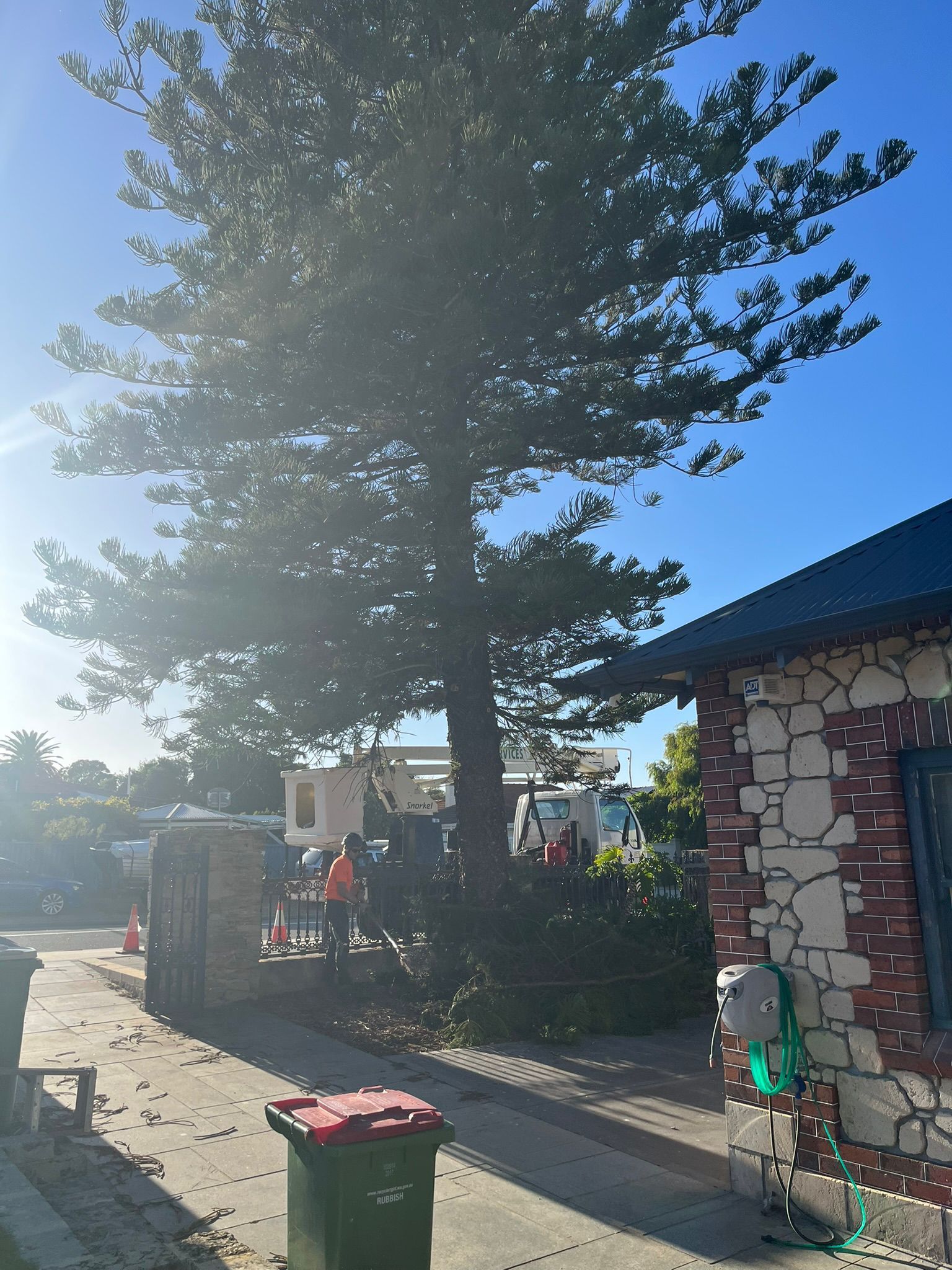Fremantle Tree Loppers