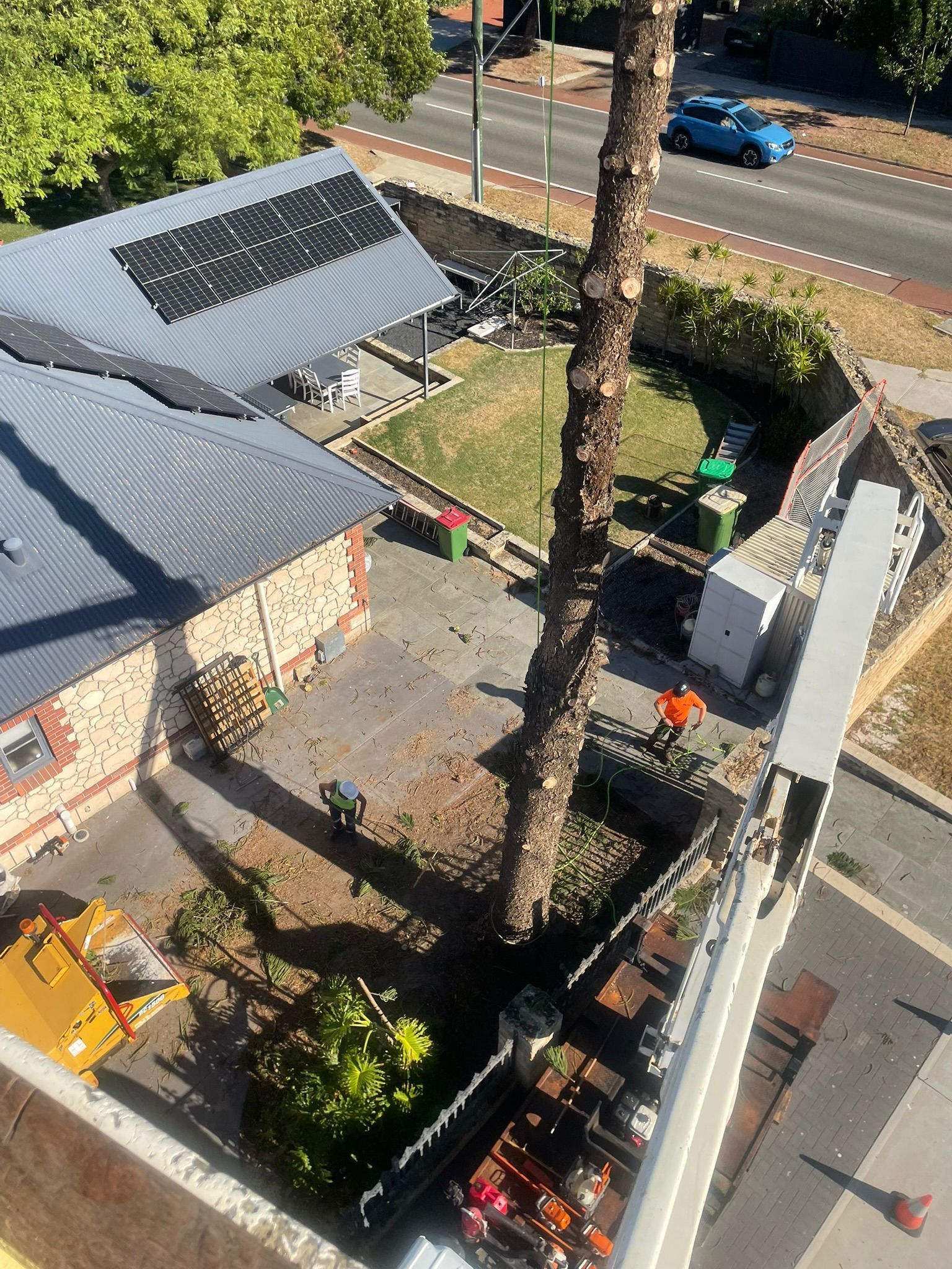 Fremantle Tree Loppers