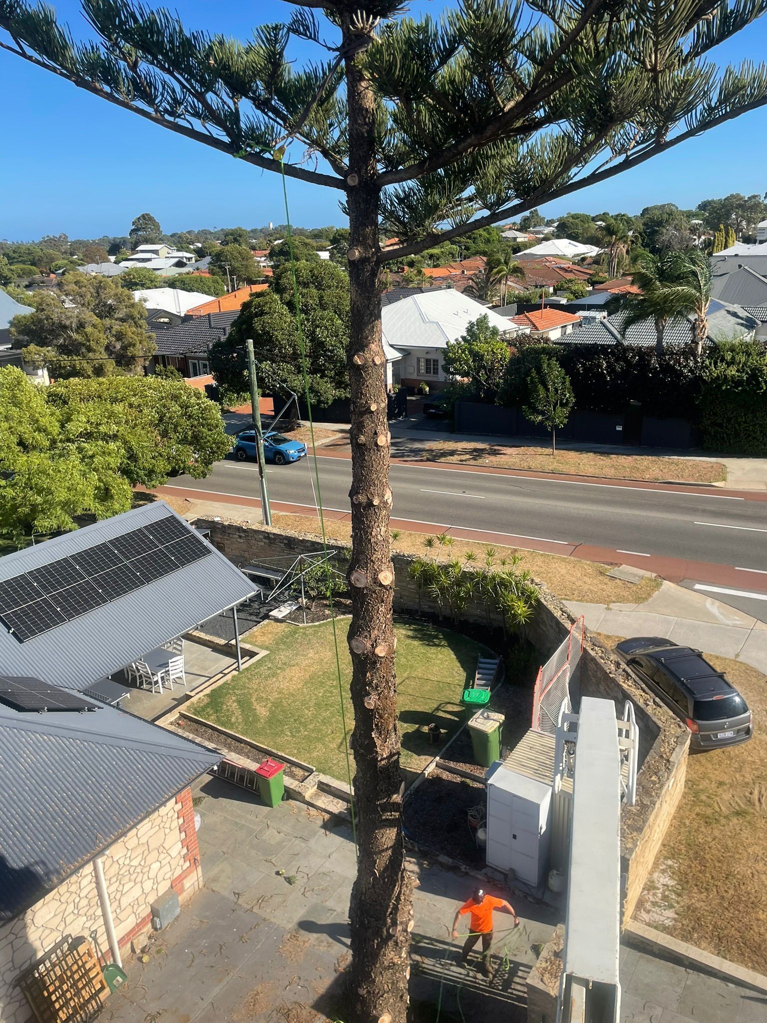 Fremantle Tree Loppers