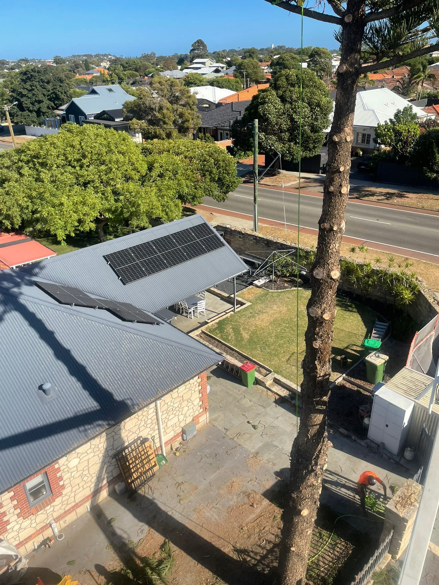 Fremantle Tree Loppers
