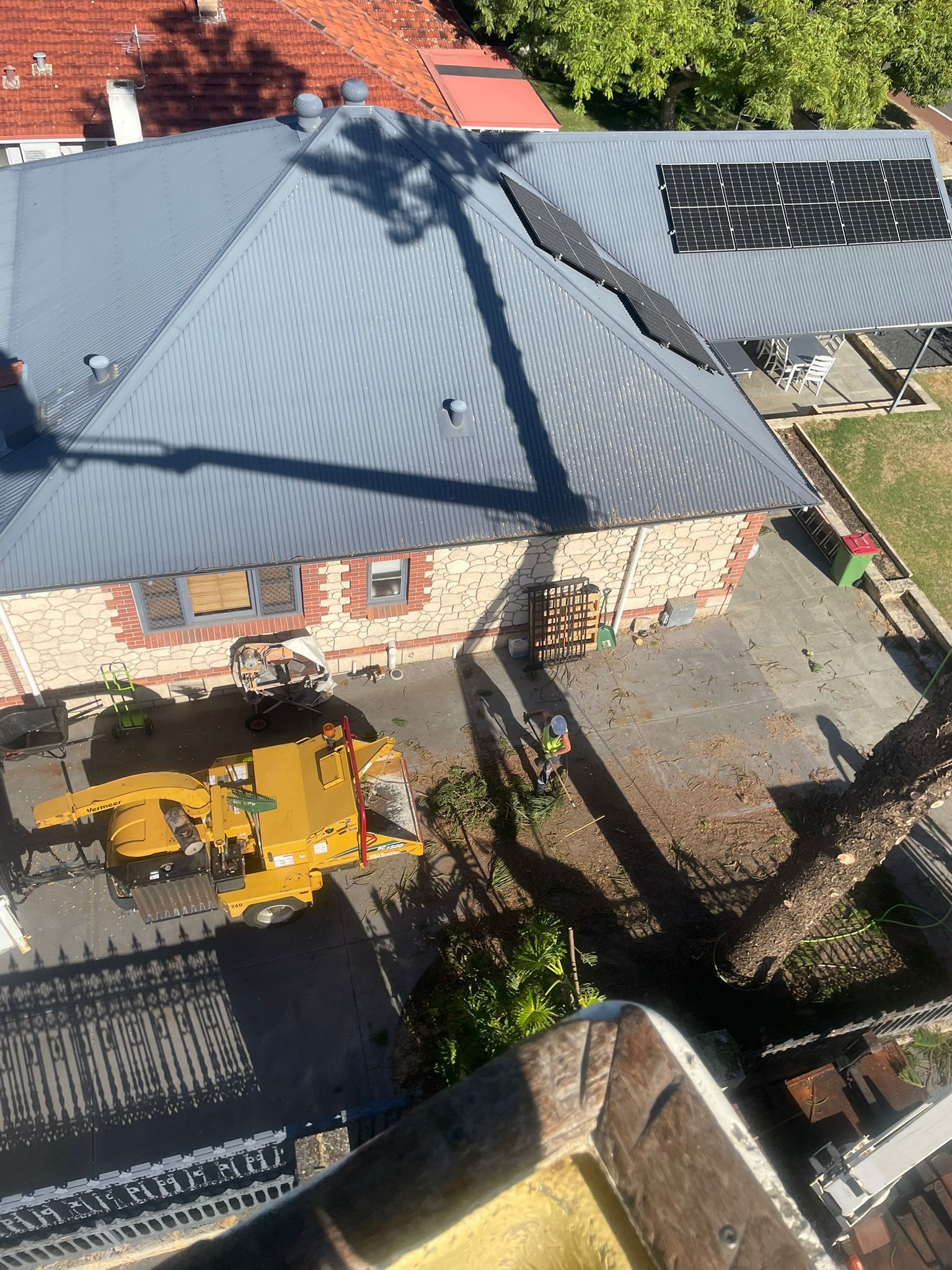 Fremantle Tree Loppers