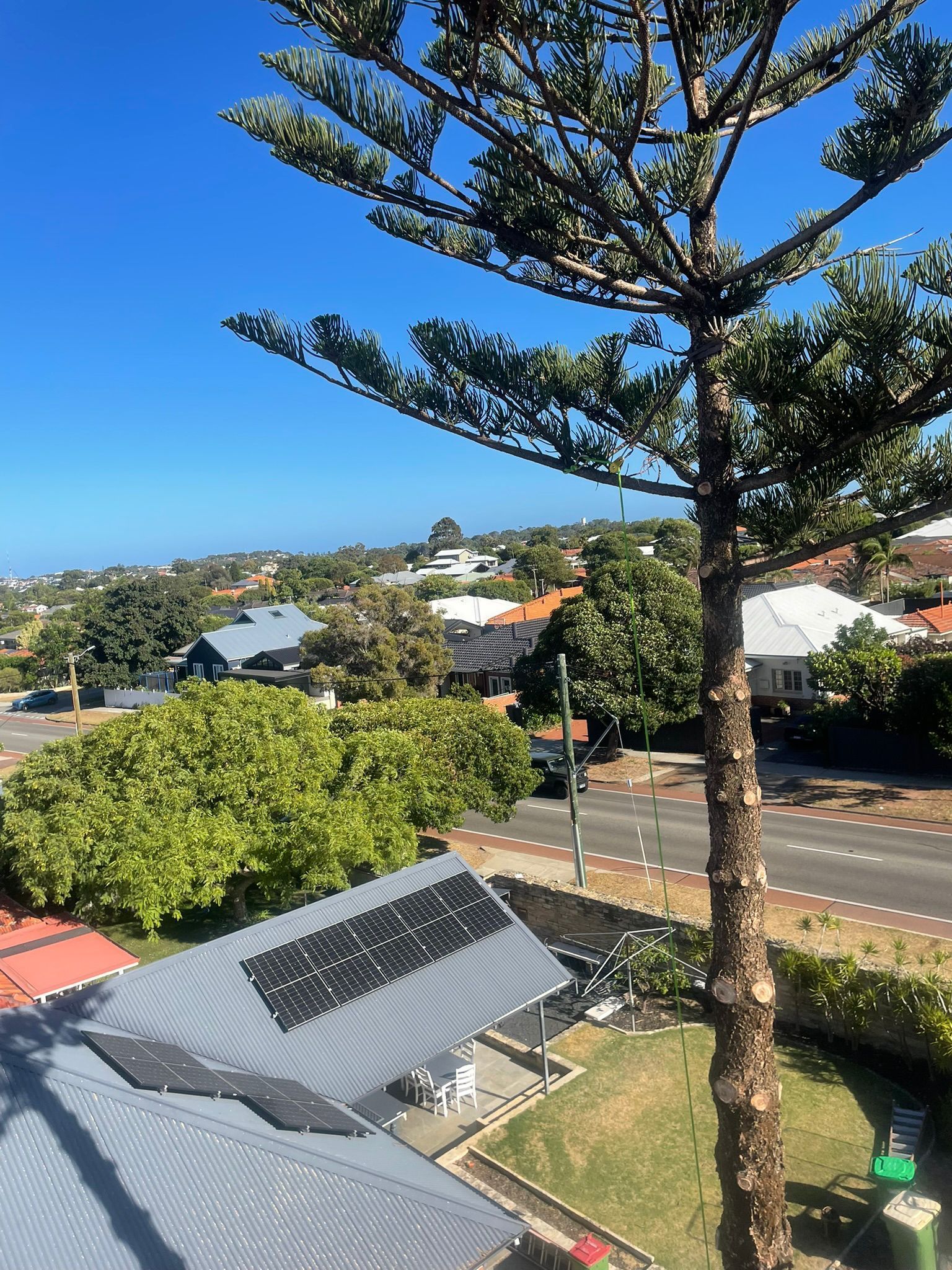 Fremantle Tree Loppers