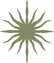 Olive-green stylized sunburst or starburst icon on a white background