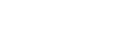 logo-image