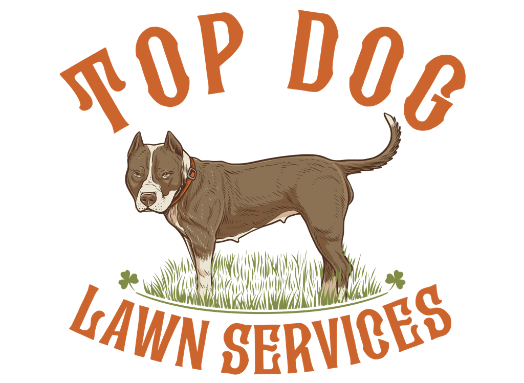 Top Dog Lawn Services logo with a brown dog standing on grass and orange text