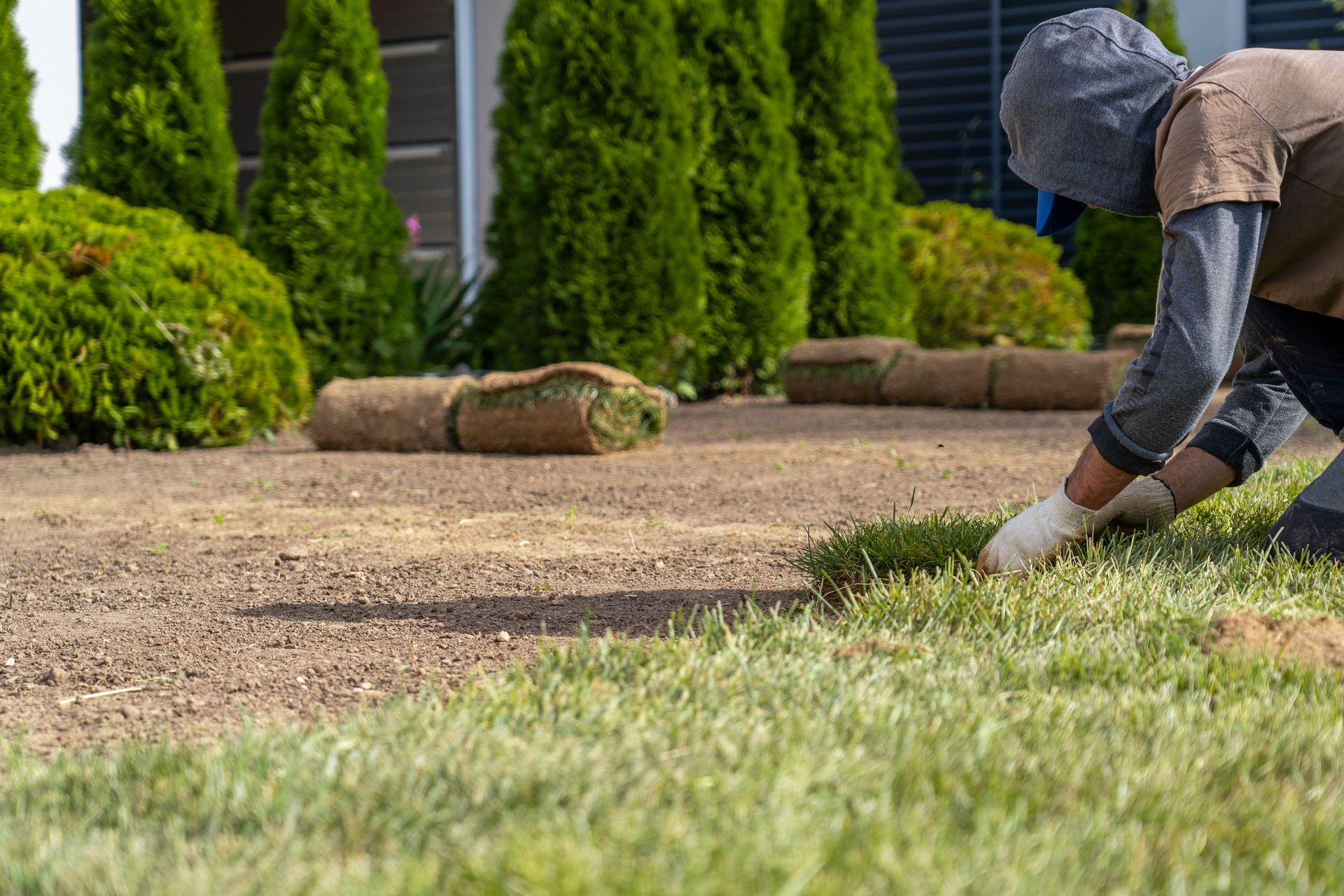 Gardener kneeling to plant grass in a yard with shrubs and a wheelbarrow in the background