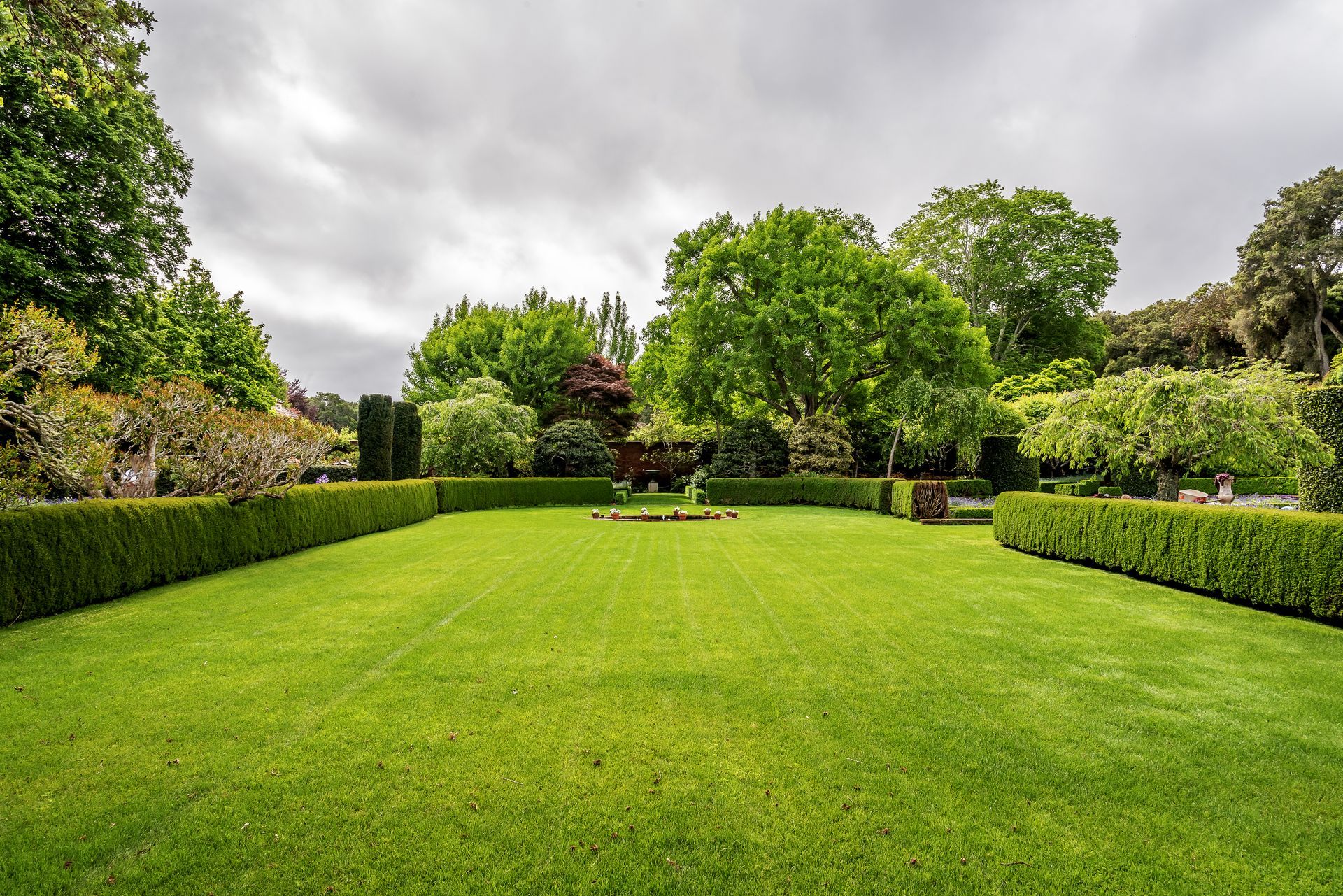 Lush green garden lawn bordered by hedges and trees under a cloudy sky