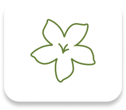 Open book icon with a fork on the left page and a spoon on the right in olive green outline