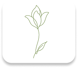 Open book icon with a fork on the left page and a spoon on the right in olive green outline