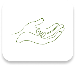 Open book icon with a fork on the left page and a spoon on the right in olive green outline