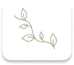 Open book icon with a fork on the left page and a spoon on the right in olive green outline