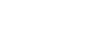 Stress Less Tech Solutions Logo in all white