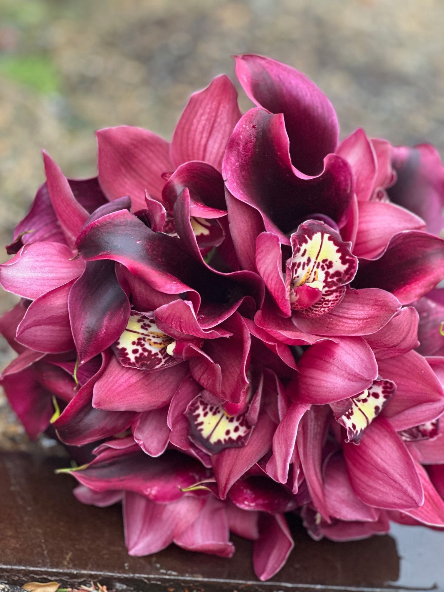 A bunch of purple flowers are sitting on a table.