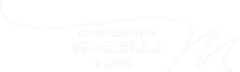 Logo bianco molto tenue con la scritta “MORRELLI” su sfondo bianco e sottili linee decorative.