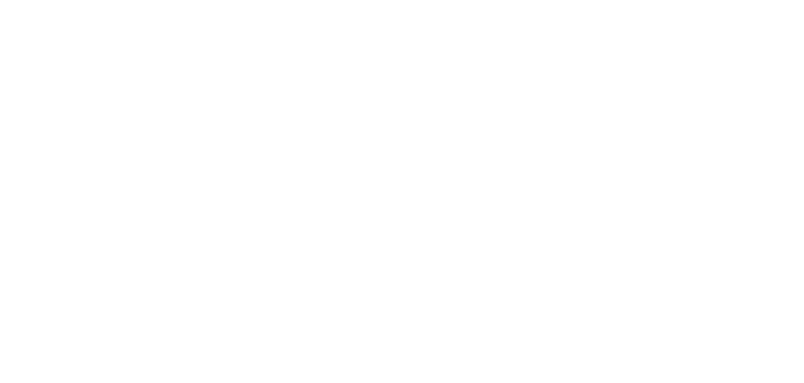 Business Planning Inc logo