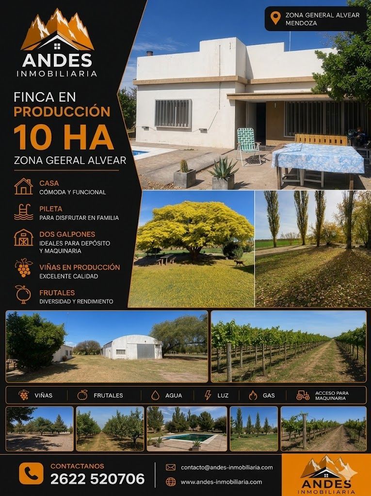 Anuncio inmobiliario de una finca vitivinícola de 10 hectáreas con casa, jardines y vistas a la montaña en los Andes, Mendoza.