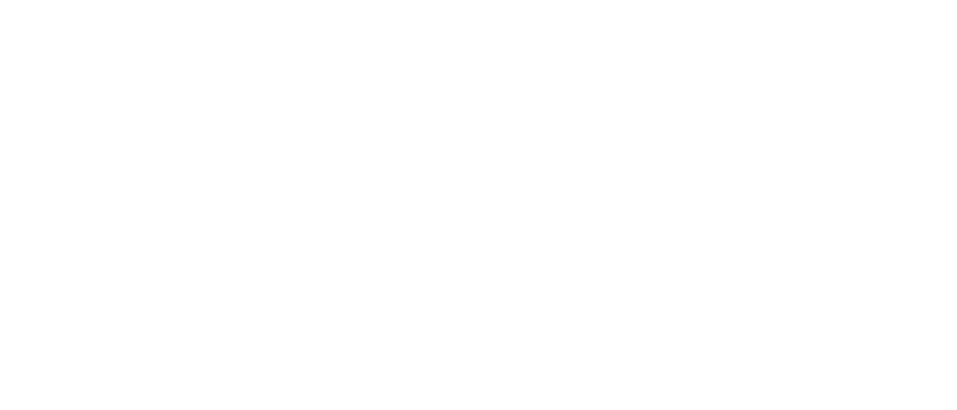 CEBA Solutions Logo