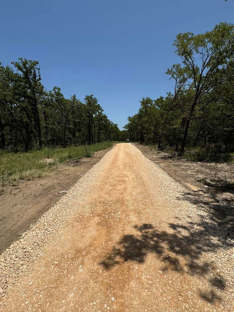 A straight gravel road leads through a dense forest under a clear, bright blue sky.