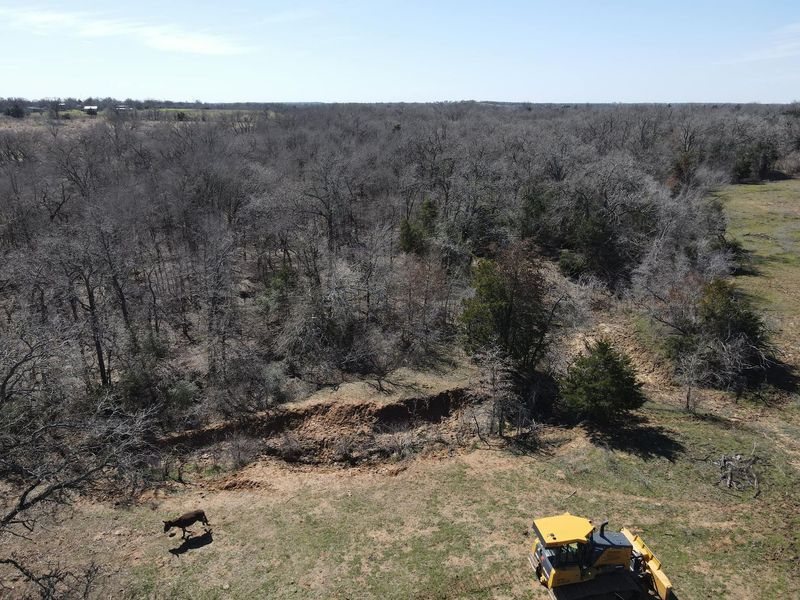 A yellow bulldozer sits in a grassy field near a partially cleared edge of a dense, bare-branched forest.