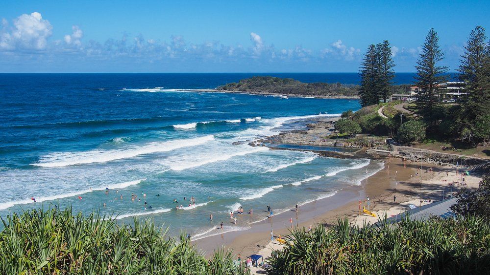 Yamba NSW — George's Tree Services in Yamba, NSW