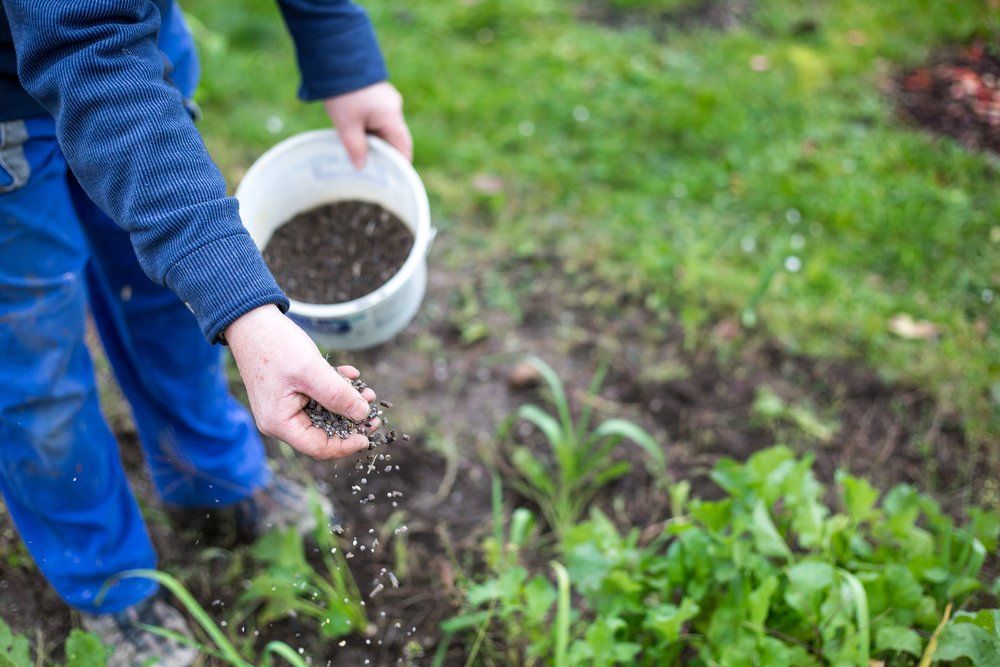 Fertilizing The Garden — George's Tree Services in South Grafton, NSW
