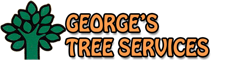 George’s Tree Services: Professional Arborists & Tree Loppers George’s Tree Services: Professional Arborists & Tree Loppers